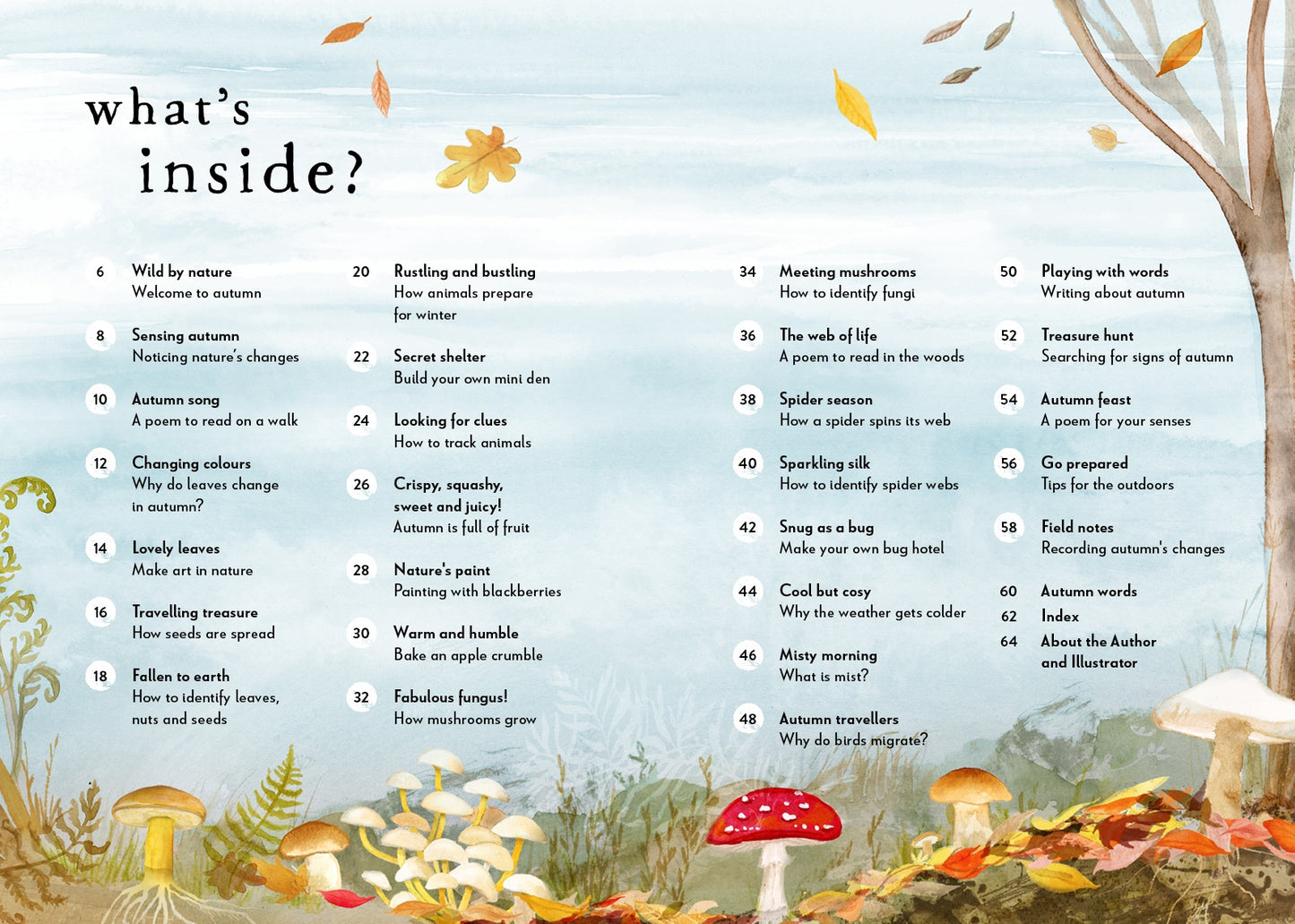 A Field Guide To Autumn
