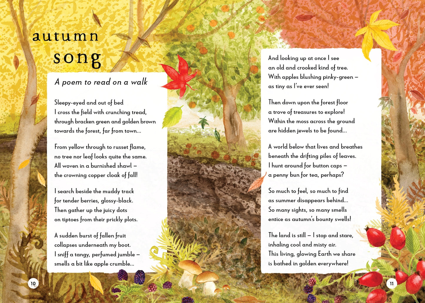 A Field Guide To Autumn