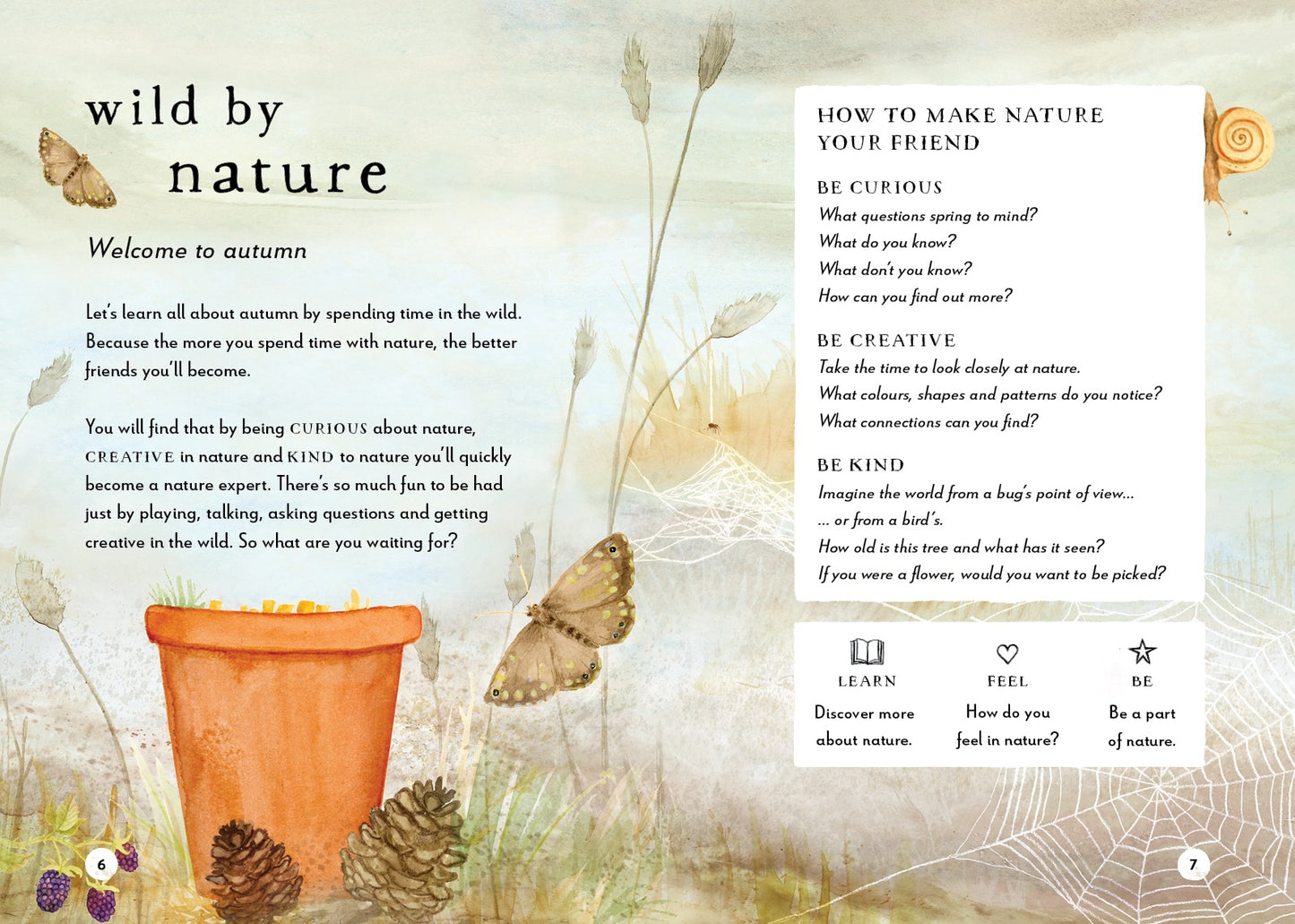 A Field Guide To Autumn