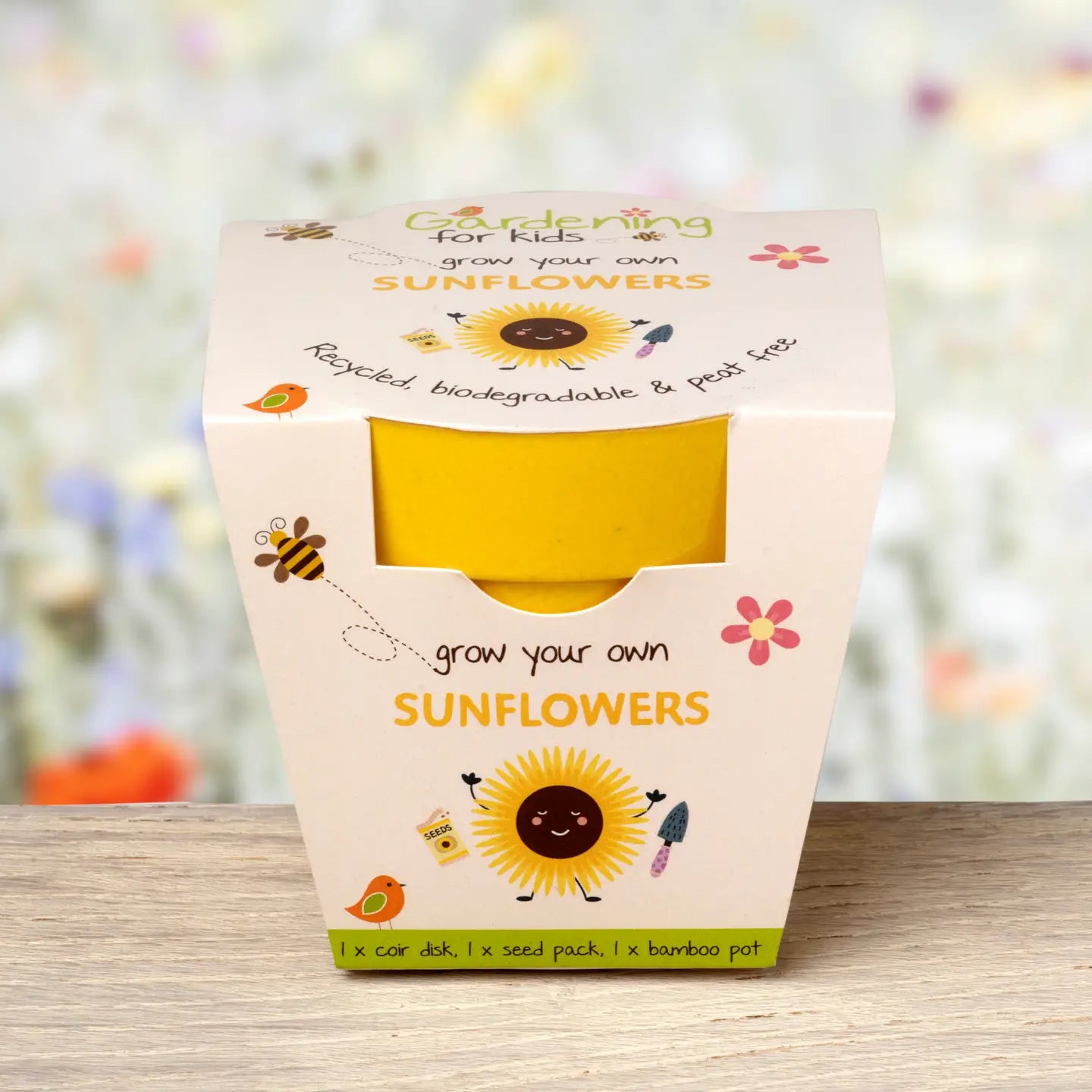 Children's Grow Your Own Sunflowers Growing Kit