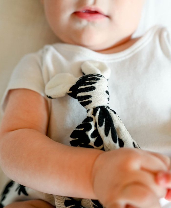 Etta Loves Fern Baby Comforter