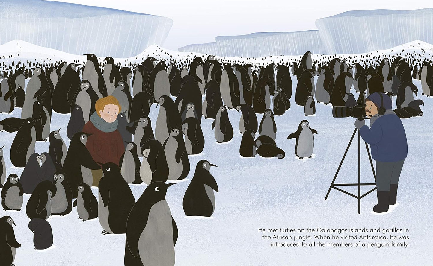 Little People, BIG DREAMS: Advent Calendar Book Collection