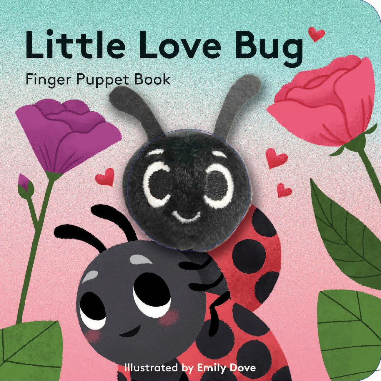 Little Love Bug (Board Book)