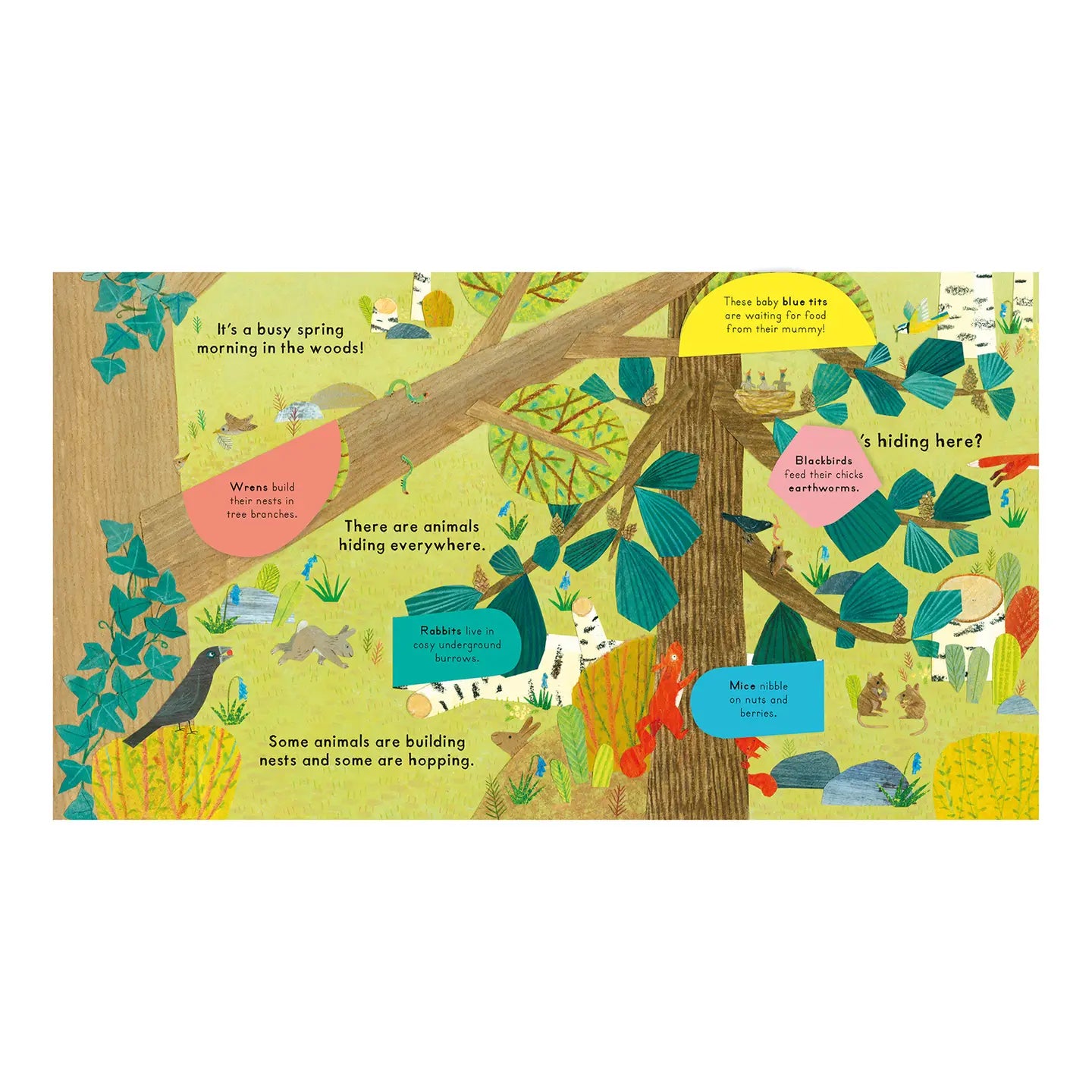 National Trust: Who’s Hiding In The Woods