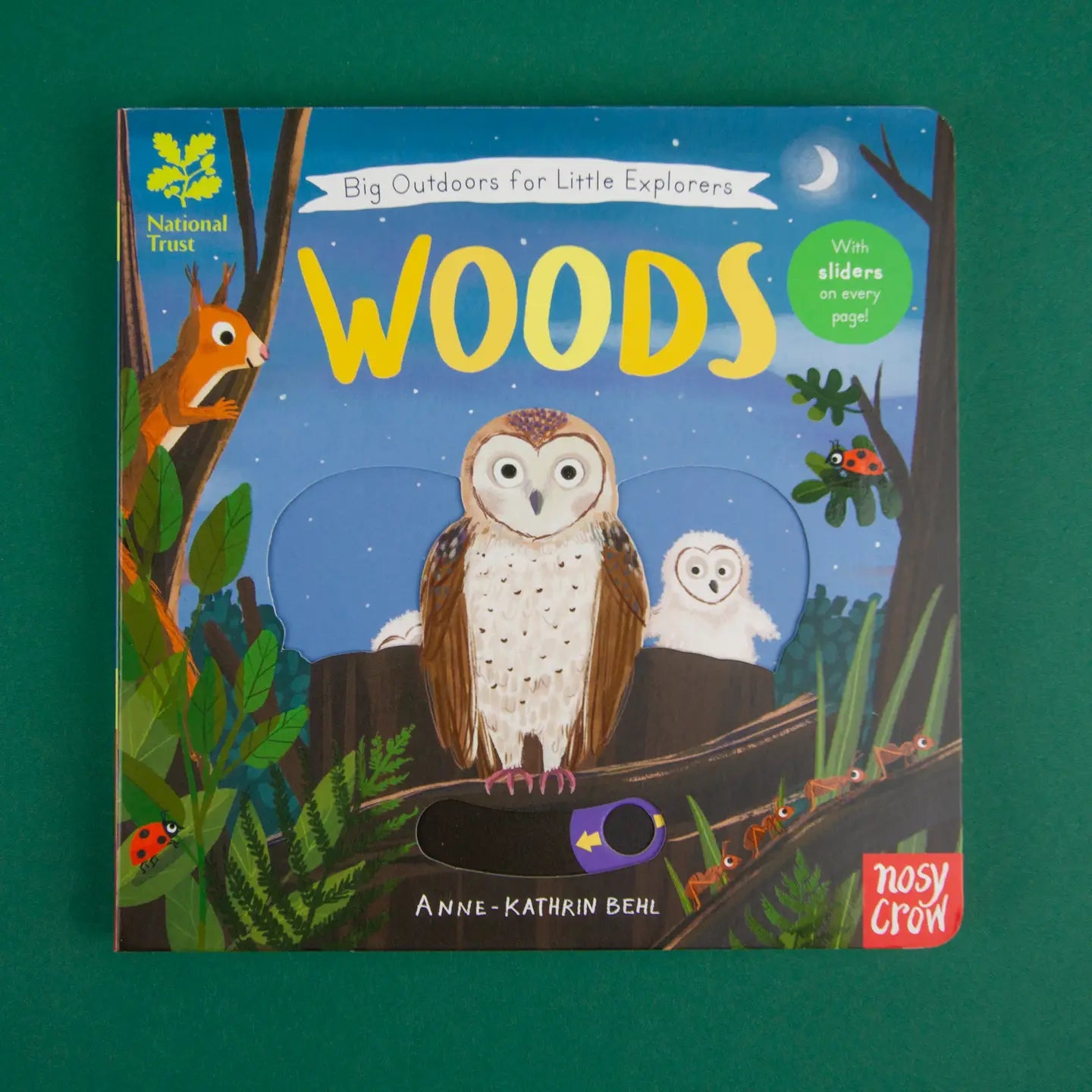 National Trust: Big Outdoor Woods