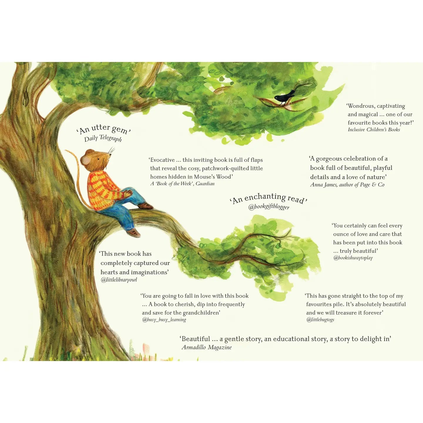 Mouse’s Wood: A Year in Nature