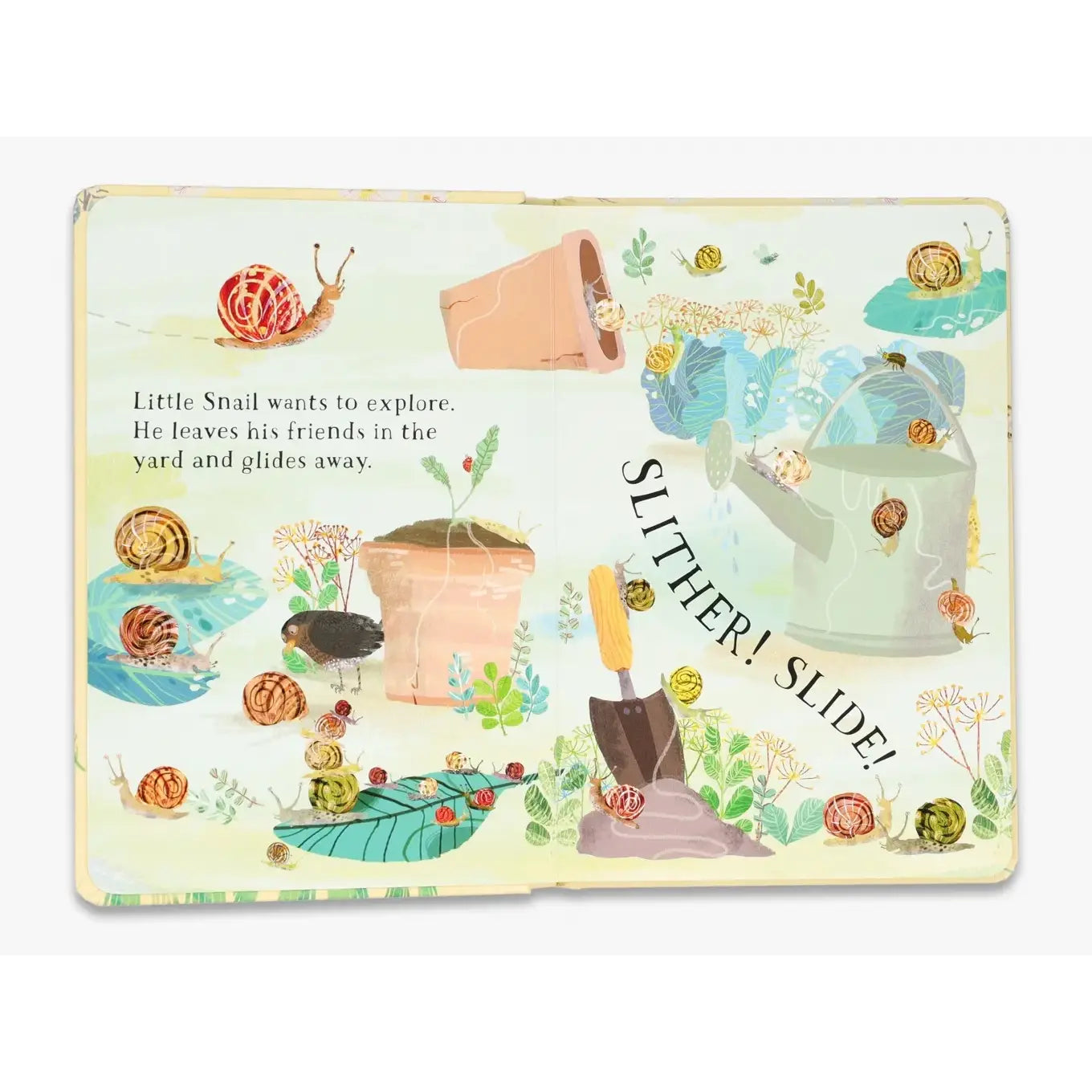 Little Snail’s Book of Bugs