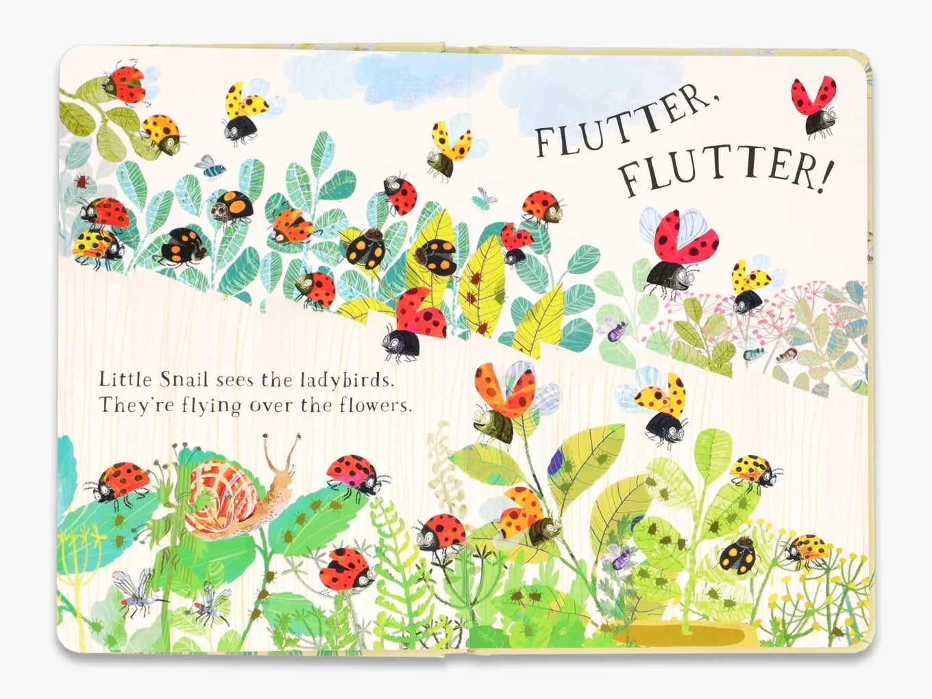 Little Snail’s Book of Bugs