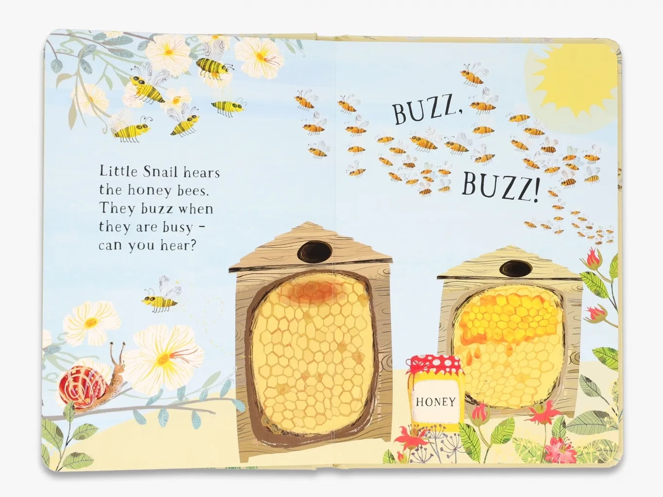 Little Snail’s Book of Bugs