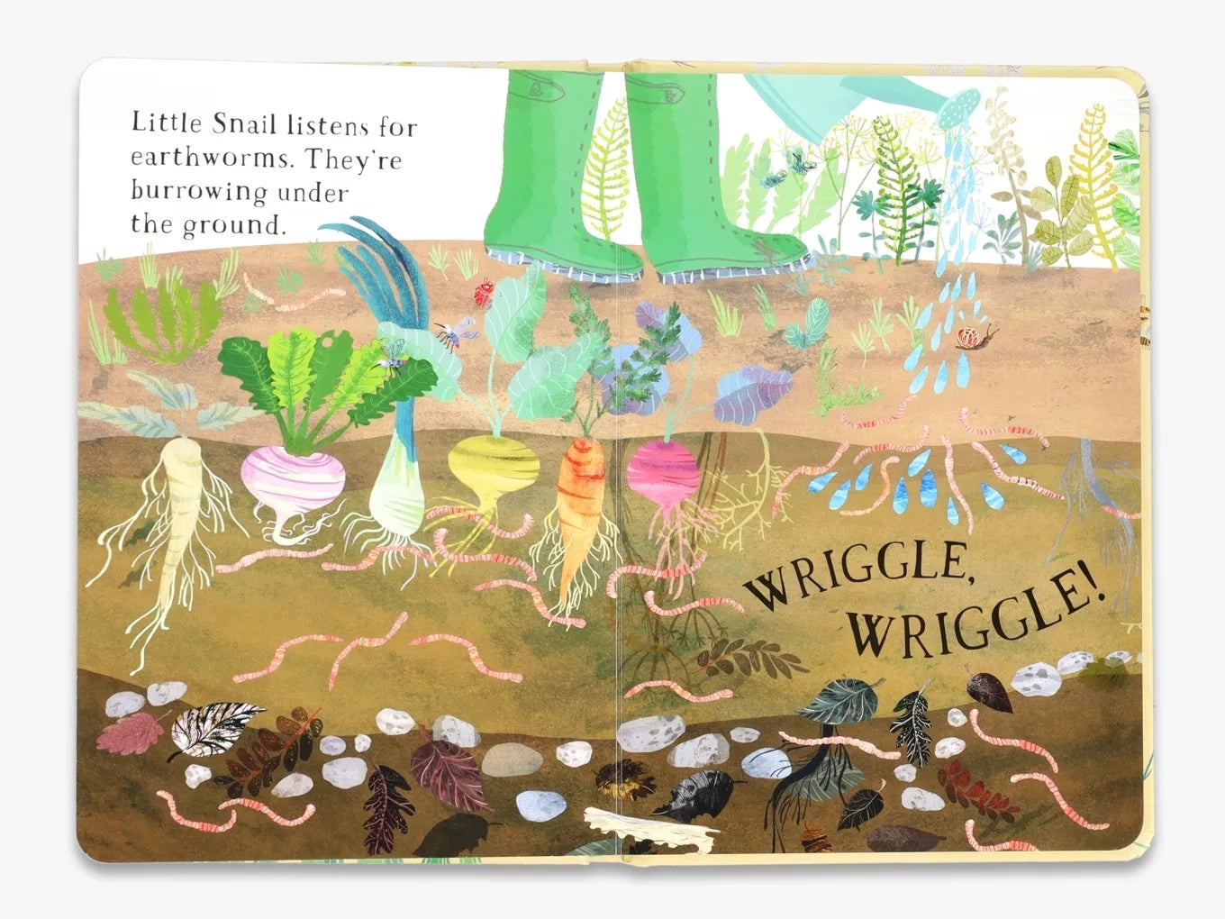 Little Snail’s Book of Bugs