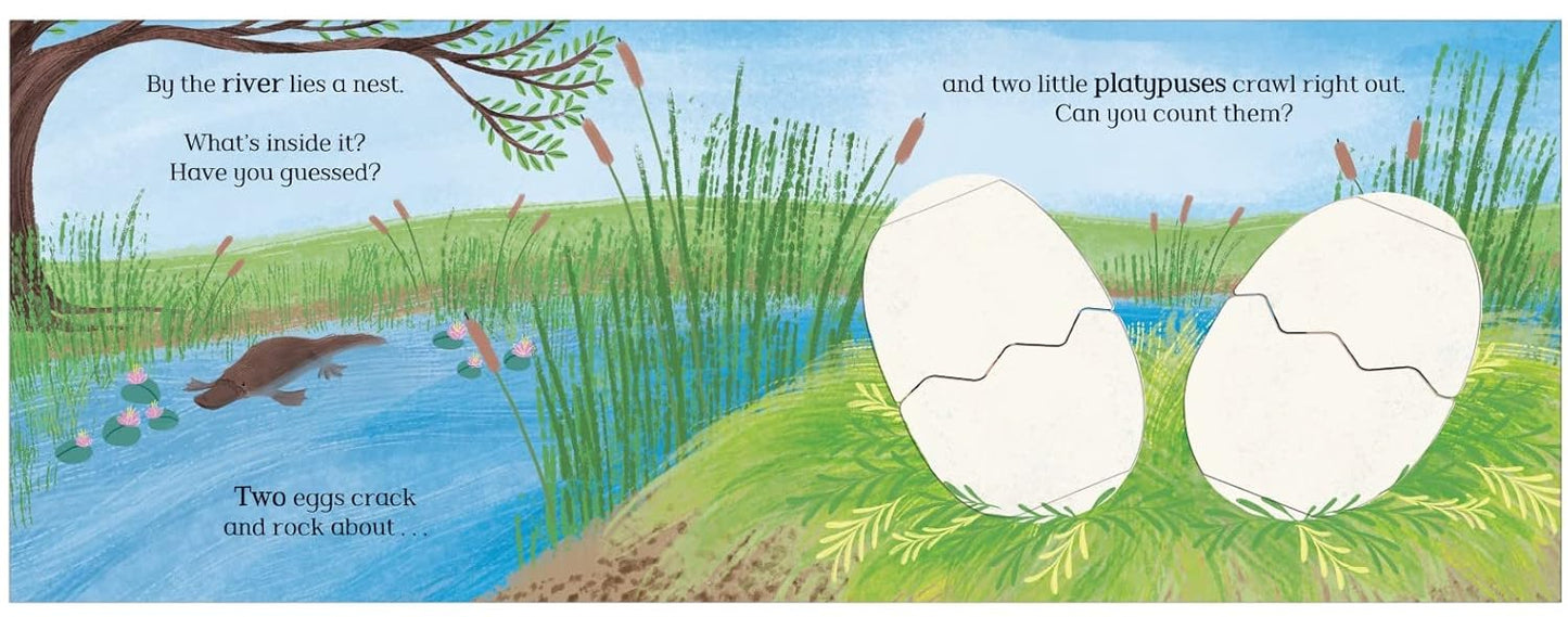 Eggs! Flap Book