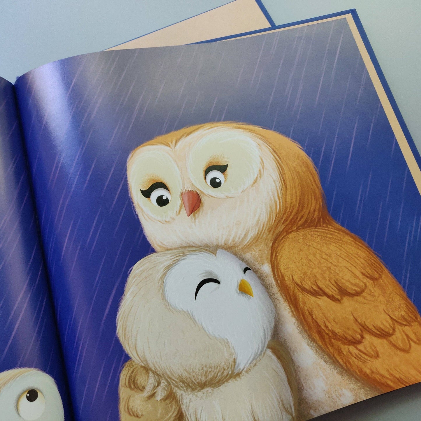 When Owl Feels Scared - Me And My Feelings Children's Hardback Book